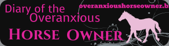 Custom Bumper Stickers